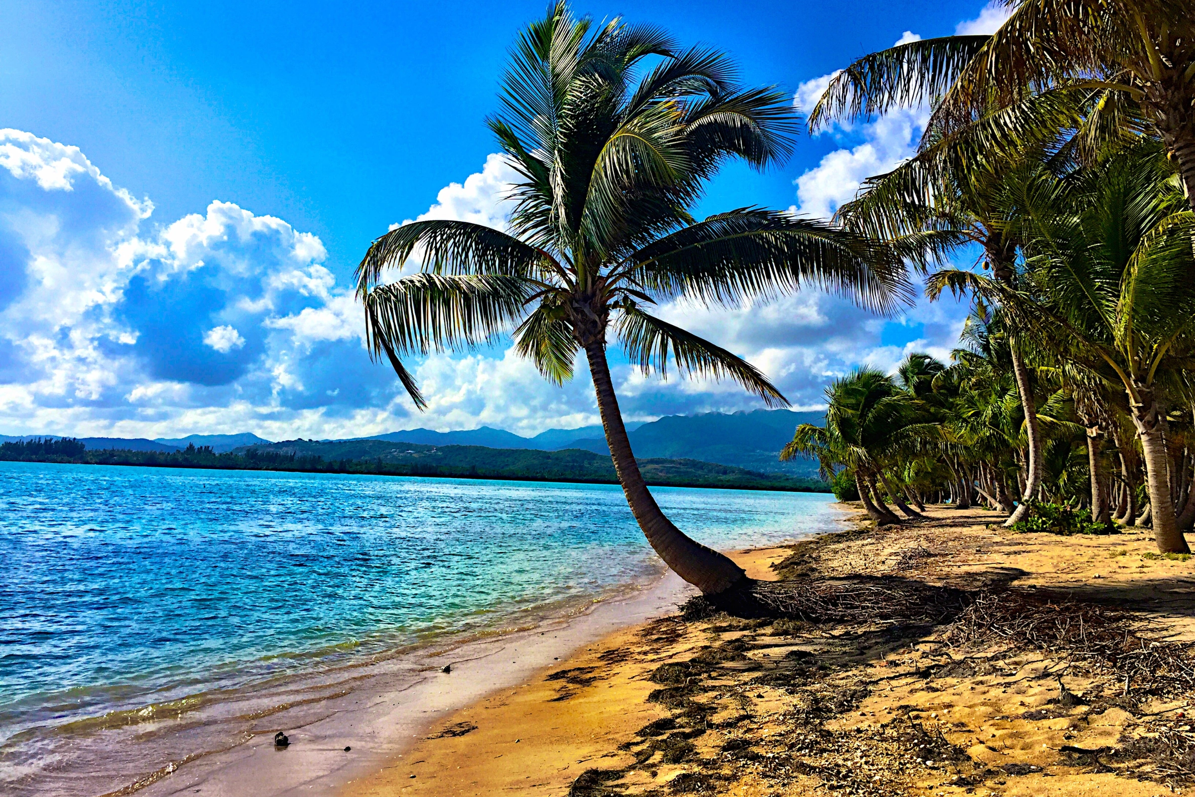 Puerto_Carrillo[1].webp